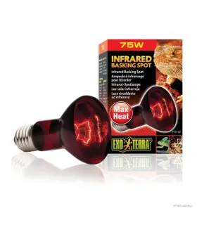 Hagen Exo Terra Infrared Basking Spot 75W (2142)