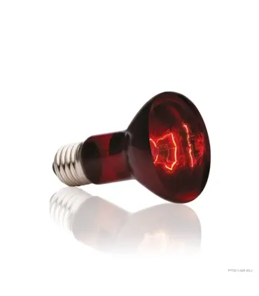 Hagen Exo Terra Infrared Basking Spot 75W (2142)