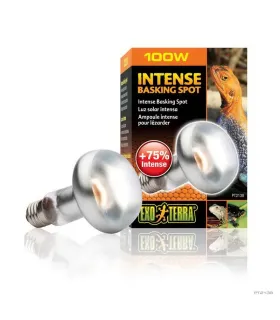 Hagen Exo Terra Intense Basking Spot - izzó sütkérező területekhez - 100W (2138)