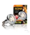 Hagen Exo Terra Intense Basking Spot - izzó sütkérező területekhez - 150W (2140)
