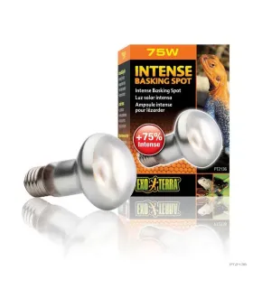 Hagen Exo Terra Intense Basking Spot - izzó sütkérező területekhez - 75W (2136)
