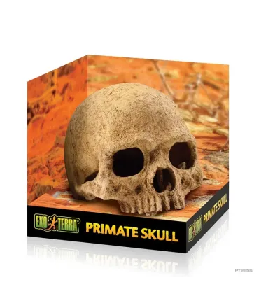 Hagen Exo Terra Primate Skull - koponya formájú búvóhely terráriumokba (12 cm)