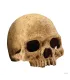Hagen Exo Terra Primate Skull - koponya formájú búvóhely terráriumokba (12 cm)
