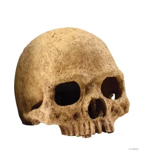 Hagen Exo Terra Primate Skull - koponya formájú búvóhely terráriumokba (12 cm)
