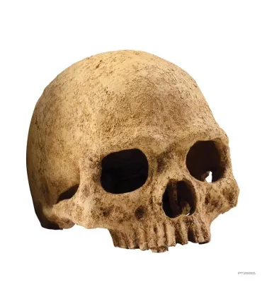 Hagen Exo Terra Primate Skull - koponya formájú búvóhely terráriumokba (12 cm)