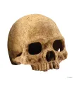 Hagen Exo Terra Primate Skull - koponya formájú búvóhely terráriumokba (12 cm)