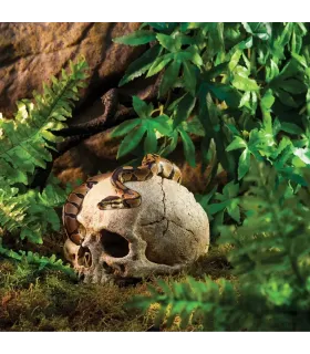 Hagen Exo Terra Primate Skull - koponya formájú búvóhely terráriumokba (12 cm)