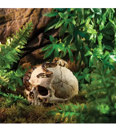 Hagen Exo Terra Primate Skull - koponya formájú búvóhely terráriumokba (12 cm)