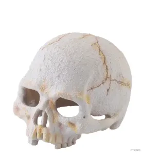 Hagen Exo Terra Primate Skull Small - koponya formájú búvóhely terráriumokba