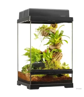 Hagen Exo Terra Pro Terrarium X-Small Talll - Dekoratív üvegterrárium (30x30x45 cm)