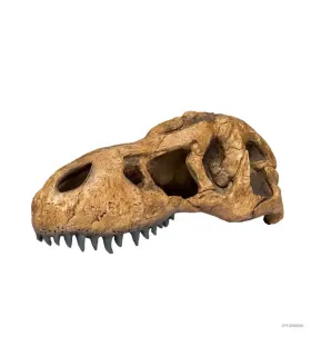 Hagen Exo Terra T-Rex Skull - T-Rex koponya formájú búvóhely hüllők részére (11x23x8 cm)