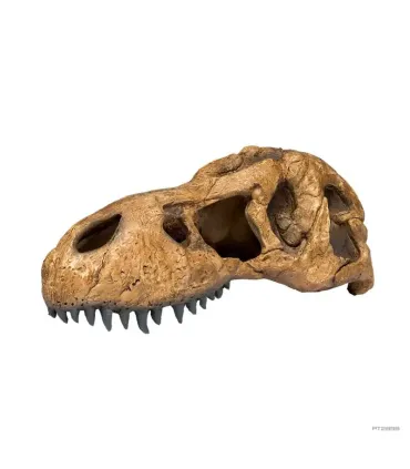 Hagen Exo Terra T-Rex Skull - T-Rex koponya formájú búvóhely hüllők részére (11x23x8 cm)
