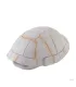Hagen Exo Terra Tortoise Skeleton - búvóhely (teknős páncél) terráriumokba