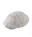 Hagen Exo Terra Tortoise Skeleton - búvóhely (teknős páncél) terráriumokba