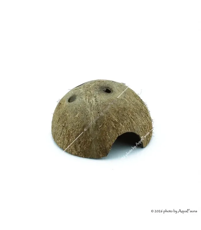 Repti Planet Coconut shell - kókuszhéj ház (L) terráriumi állatok részére