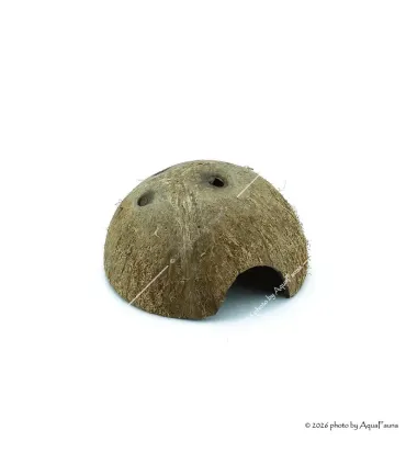 Repti Planet Coconut shell - kókuszhéj ház (L) terráriumi állatok részére