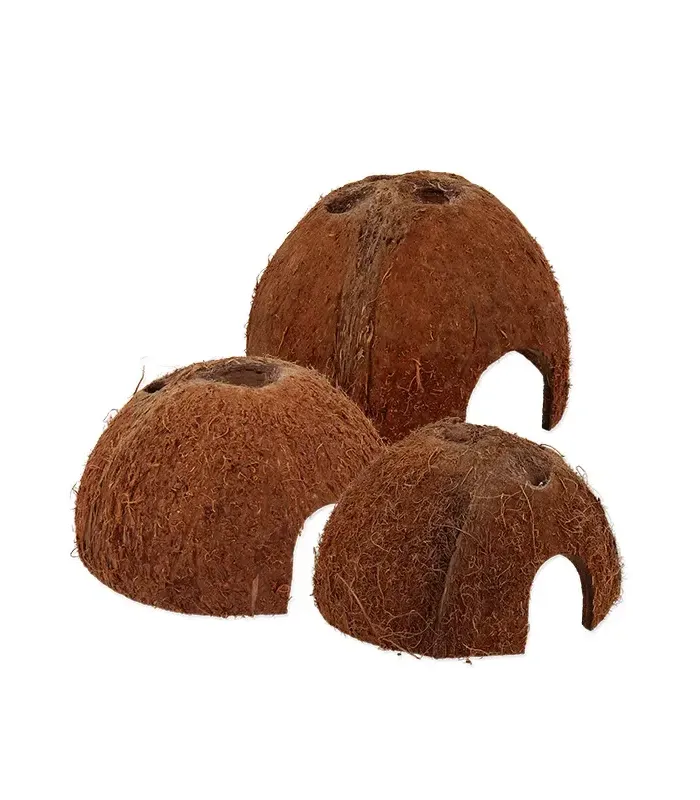 Repti Planet Coconut shell - kókuszhéj ház (L) terráriumi állatok részére