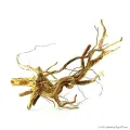 Azalea wood dekorfa (50-60 cm) / kg