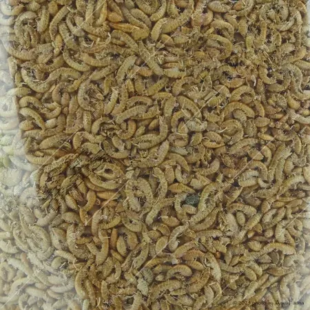 Bio-Lio FD Gammarus - 400 ml