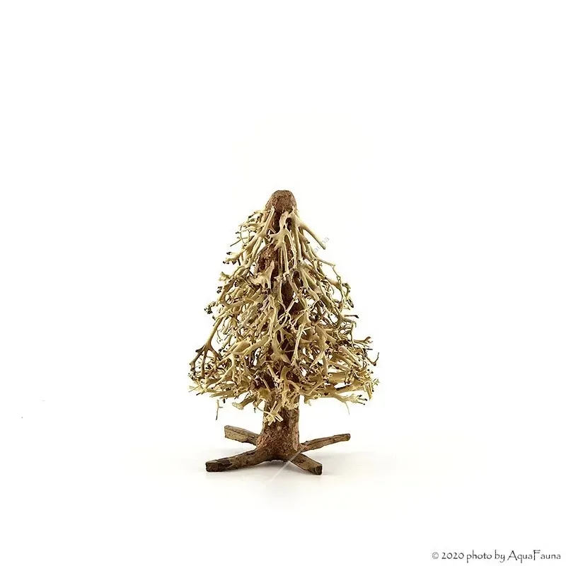 Bonsai Christmas Tree M dekorfa - 15x20x15 cm