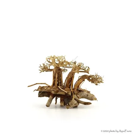 Bonsai Layout Family dekorfa - 20x15x15 cm