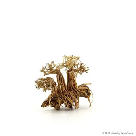 Bonsai Layout Family dekorfa - 20x15x15 cm