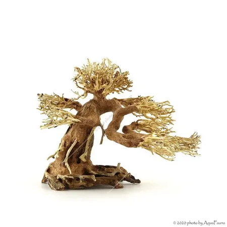 Bonsai Wood M dekorfa - 30x23x27 cm