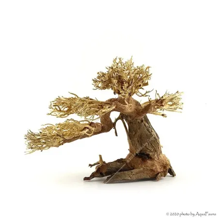 Bonsai Wood M dekorfa - 30x23x27 cm