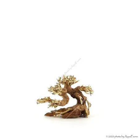 Bonsai Wood SSS dekorfa - 12x10x8 cm