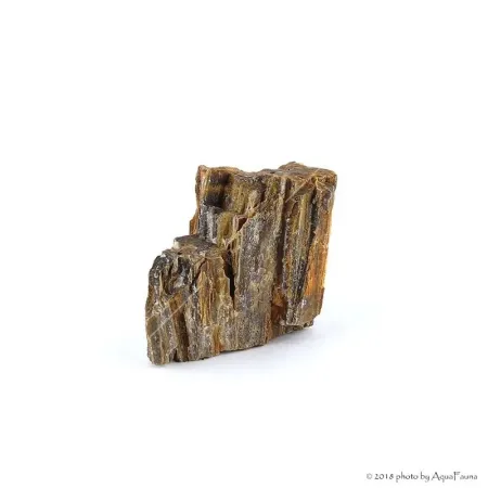 Dekorkő - Fossil wood / kg