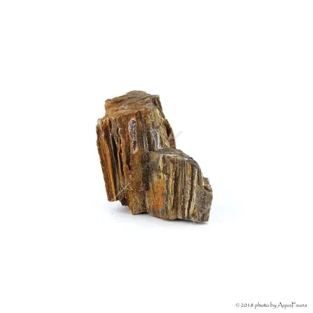 Dekorkő - Fossil wood / kg