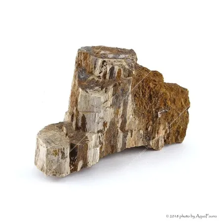 Dekorkő - Fossil wood / kg