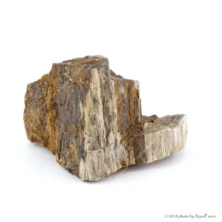 Dekorkő - Fossil wood / kg