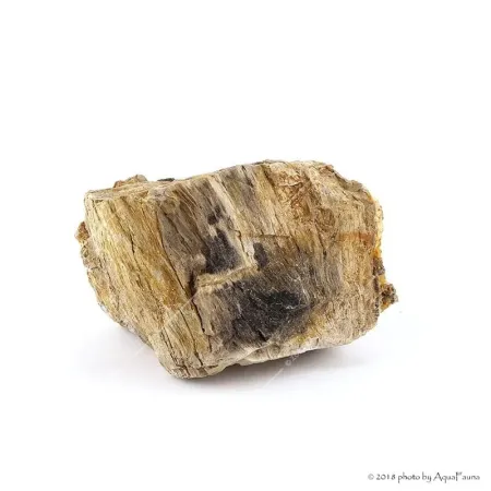 Dekorkő - Fossil wood / kg