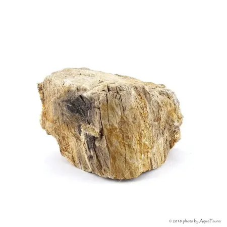 Dekorkő - Fossil wood / kg