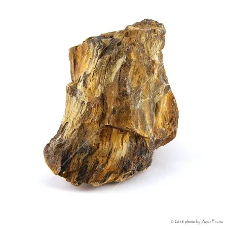 Dekorkő - Fossil wood / kg