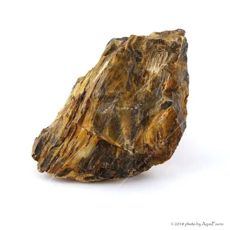 Dekorkő - Fossil wood / kg