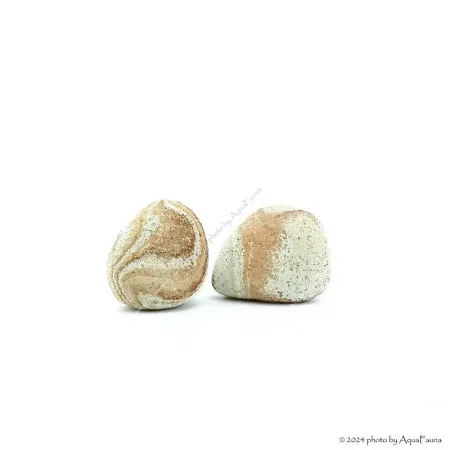 Dekorkő - Homokkő / kg
