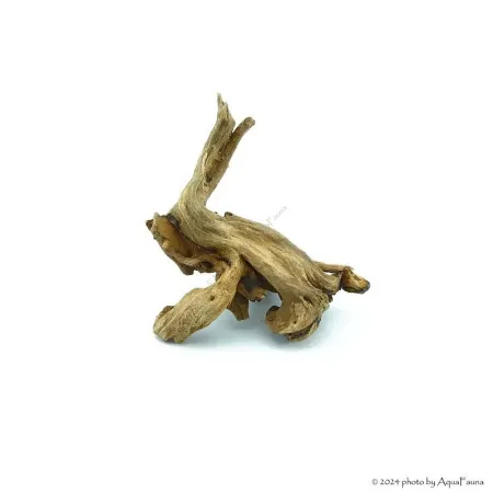 Driftwood dekorfa - small / db (10-15 cm)