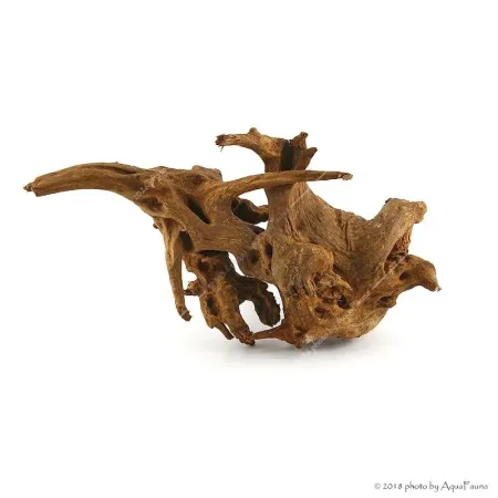 Driftwood dekorfa M 30-60 cm/ Kg