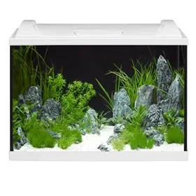 Eheim-MP AquaPro LED 60XL akvárium szett - 84 liter (fehér tetővel) (0340699)