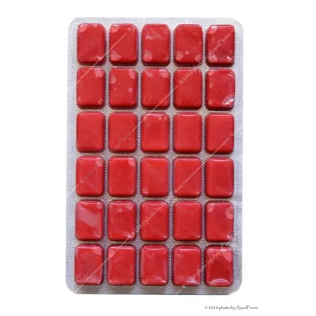 Fagyasztott Vörös plankton - 100 g