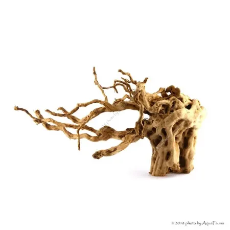 Finger gyökér dekorfa (40-50 cm) (Spiderwood, Red moor) / kg