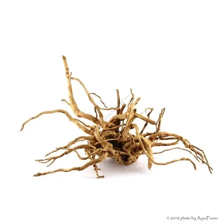 Finger gyökér dekorfa (40-50 cm) (Spiderwood, Red moor) / kg