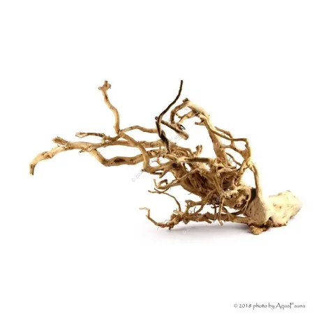 Finger gyökér dekorfa (40-50 cm) (Spiderwood, Red moor) / kg