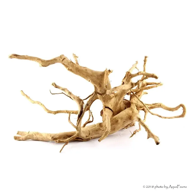 Finger gyökér dekorfa (40-50 cm) (Spiderwood, Red moor) / kg
