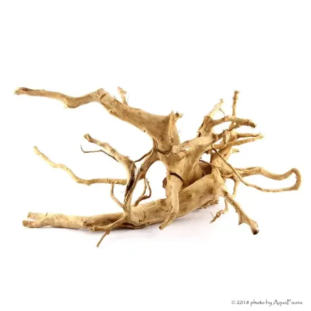 Finger gyökér dekorfa (40-50 cm) (Spiderwood, Red moor) / kg