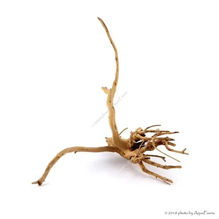 Finger-gyökér nano dekorfa (10-20 cm) (Spiderwood, Red moor) / db