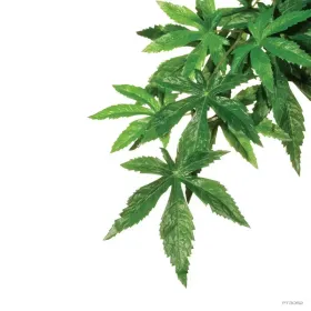 Hagen Exo Terra Abuliton Medium - esőerdei lógó műnövény - (Selyemmályva) M