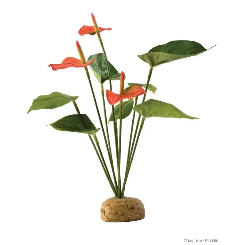 Hagen Exo Terra Anthurium Bush - esőerdei földi műnövény (Flamingóvirág) kb. 30 cm